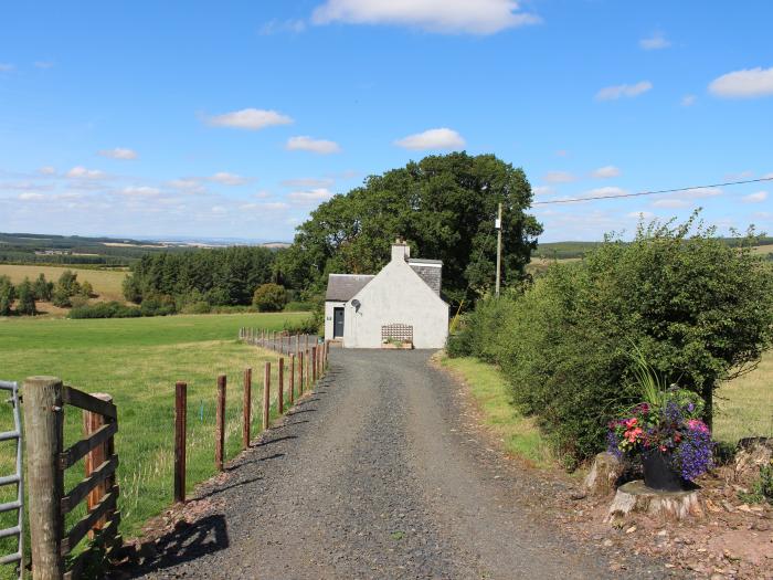 Birds Nest, Scottish Borders