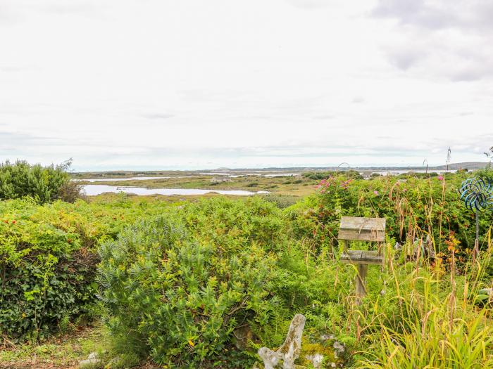 The Mermaid, Dungloe, County Donegal