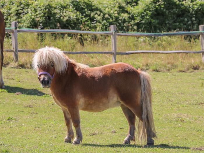 1 Paythorne Farm Cottages, Small Dole