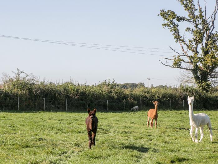 The Barn, Malmesbury