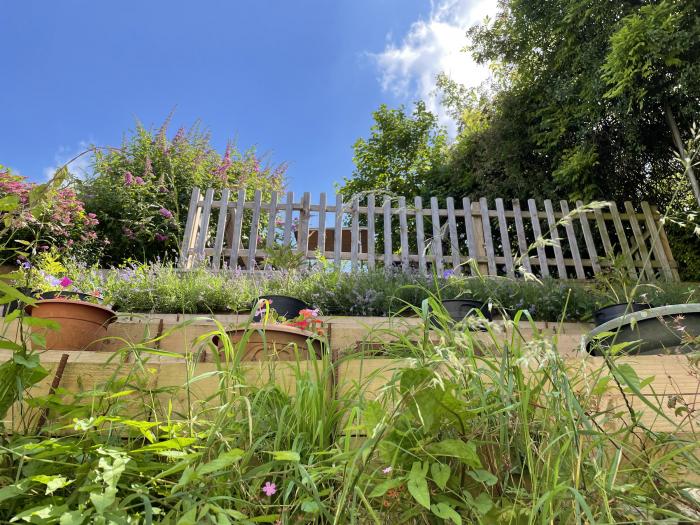 Tilly's  Cottage, Edington