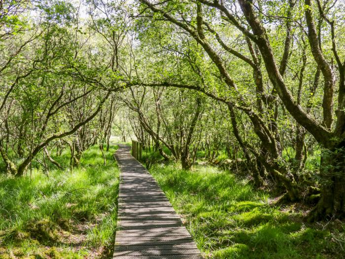 Nant Y Gwernan, Dolgellau