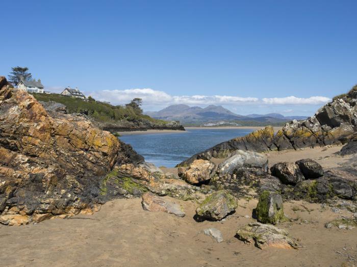 Cuckooland, Borth-Y-Gest