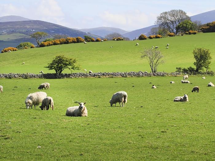 Hendre, Pontllyfni