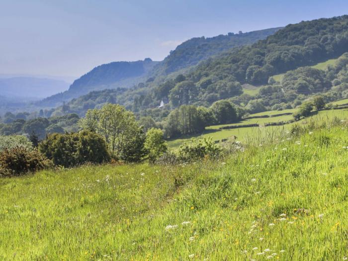 Ty'n y Cae, Llanbedr Y Cennin