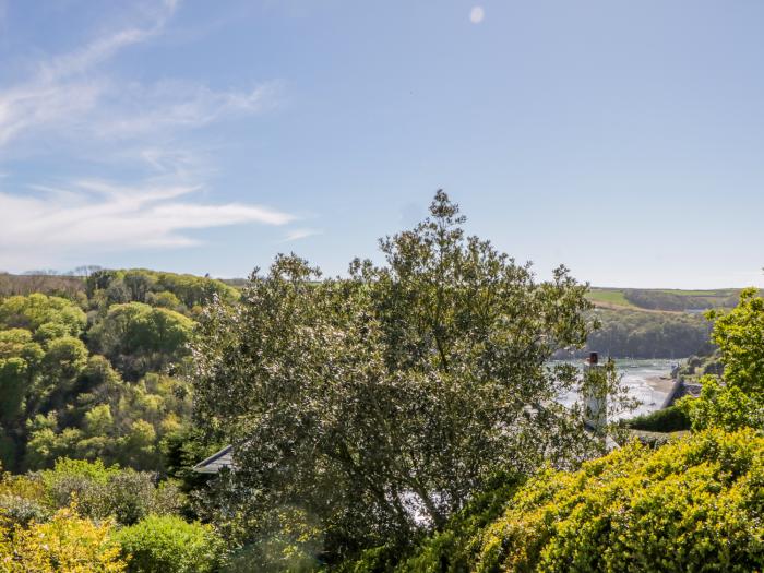 Moon Lizard, Devon