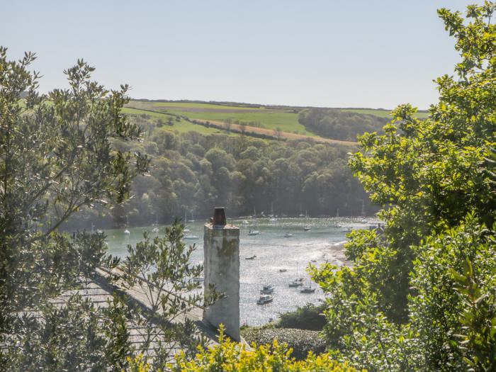 Moon Lizard, Devon