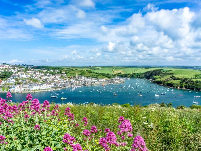 3 Top View Cottages, Salcombe