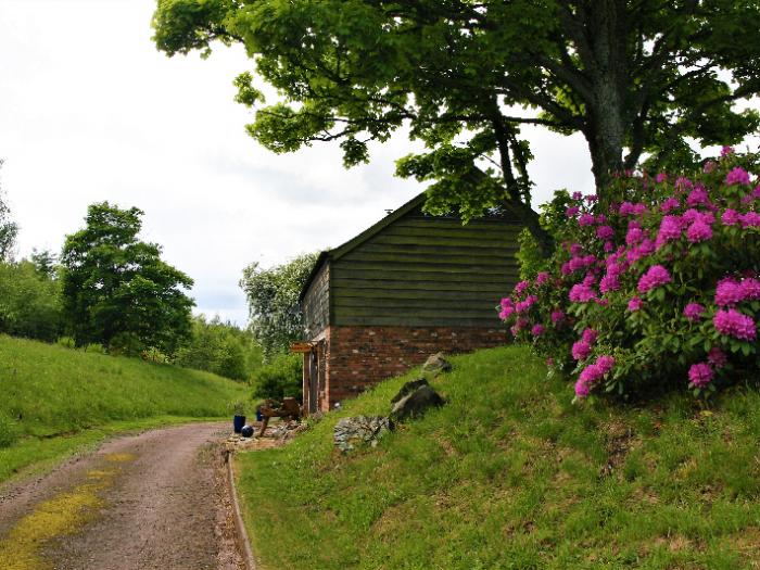 Kidcleugh Hide, Duns