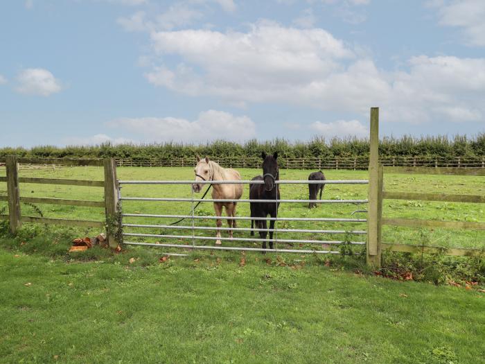 Hall Farm, Lincoln