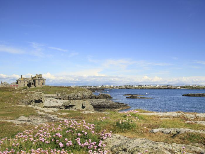 Isallt Cove, Trearddur Bay