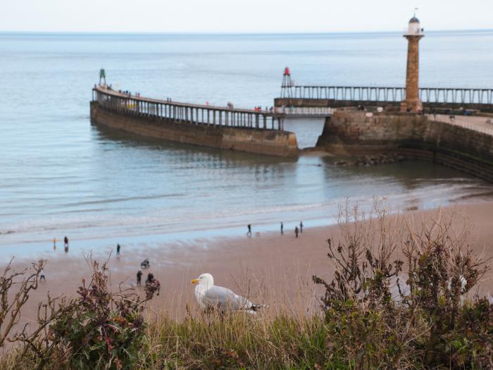 Estuary View, Whitby