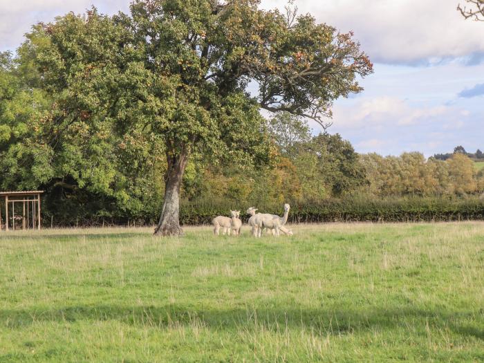 Phoenix House, Castlemorton