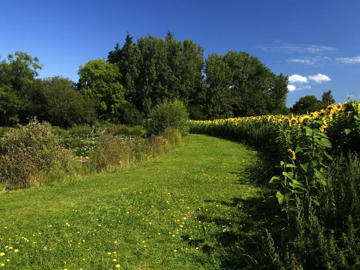 Alder Lodge, Newton Abbot