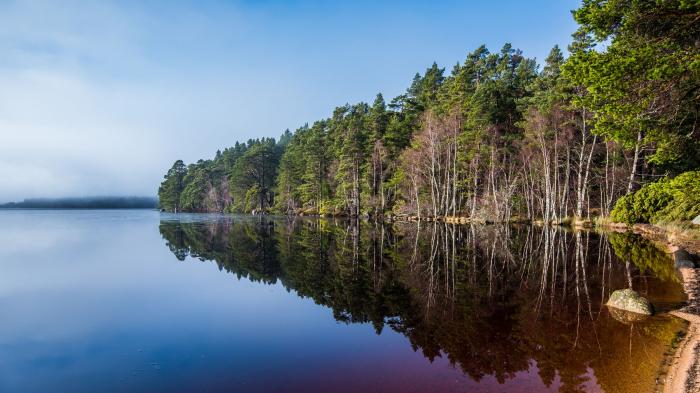 Otter Lodge, Aviemore