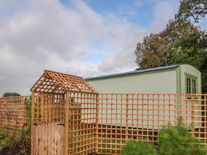 Shepherd's Hut, Okehampton