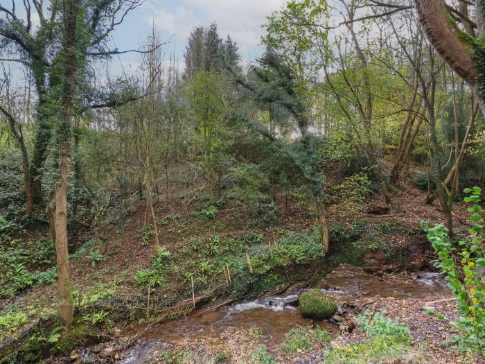 Fron Haul - Robin Goch, Ruthin