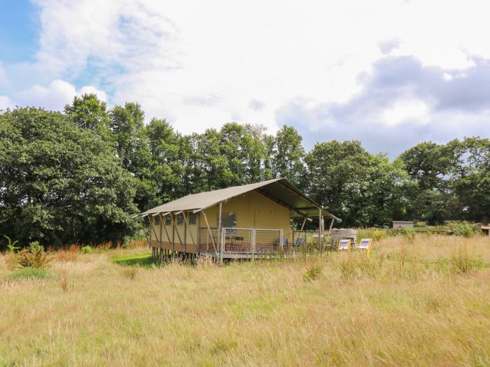 Honey (Safari tent), Gaerwen