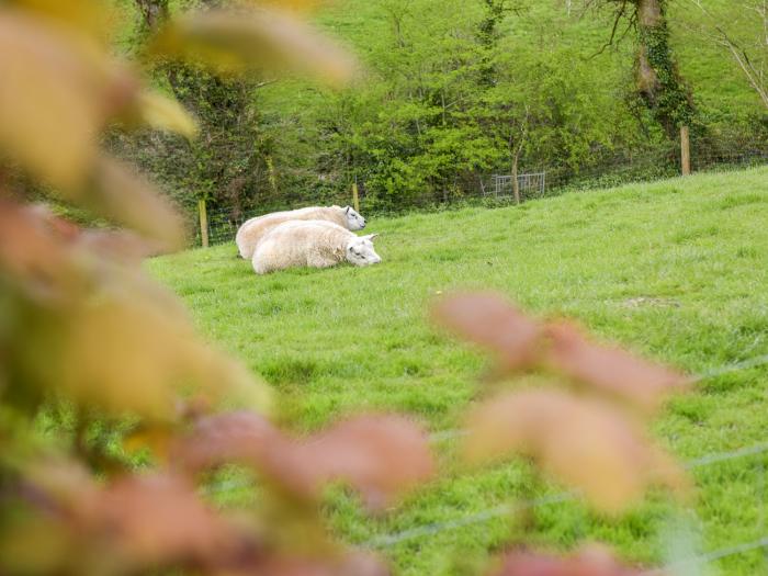 The Cottage Coombe Farm House, St Neot