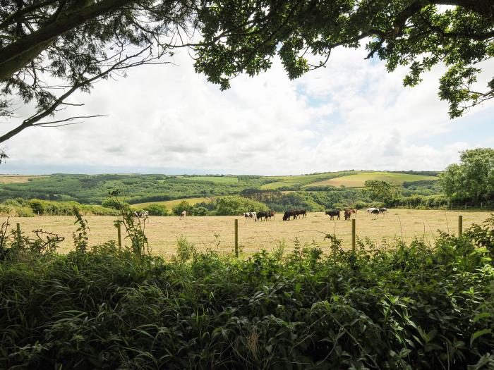 Lee Barton Farmhouse, Bude