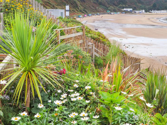 Afallon, Nefyn