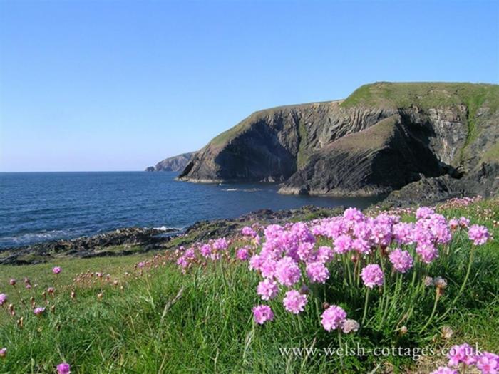 Gwelfor, Newport, Pembrokeshire