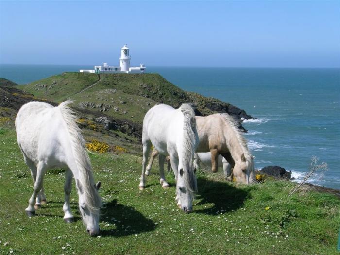 Ty Gwyn, Trefasser near Goodwick, Pembrokeshire. Off-road parking. Dog-friendly. Close to amenities.