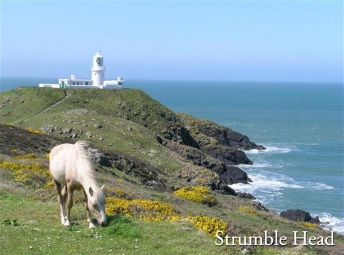 Panteurig Cottage, Goodwick