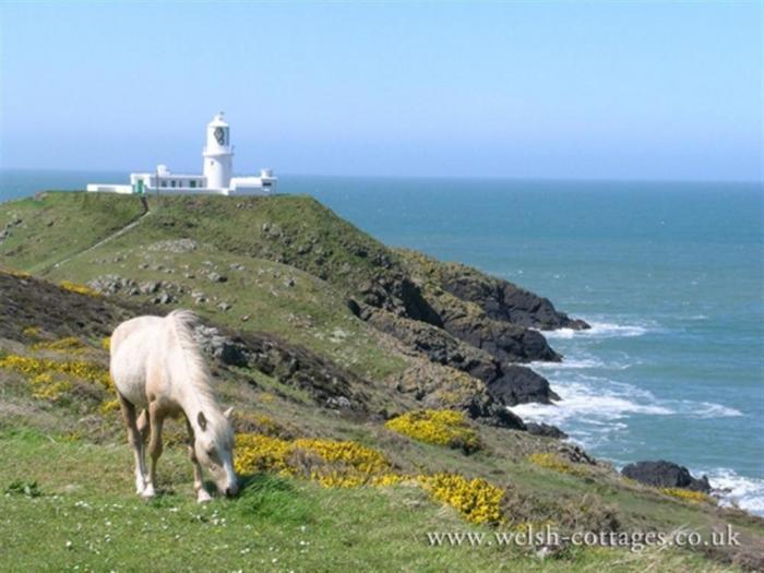 Panteurig Farmhouse, Goodwick