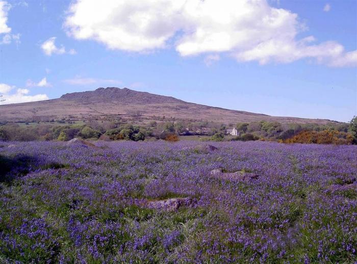 Llysgwaun, Fishguard