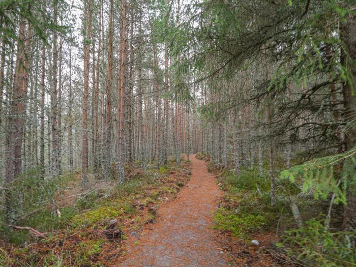 Osprey Apartment, Aviemore