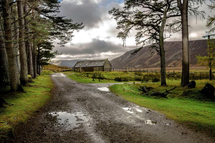 Osprey Apartment, Aviemore