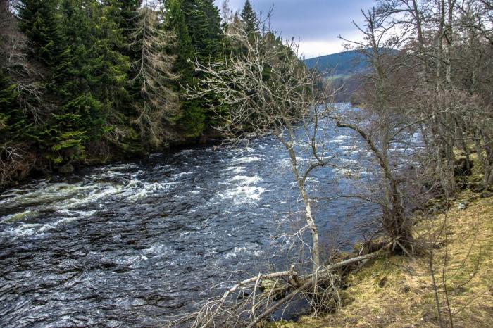 Osprey Apartment, Aviemore