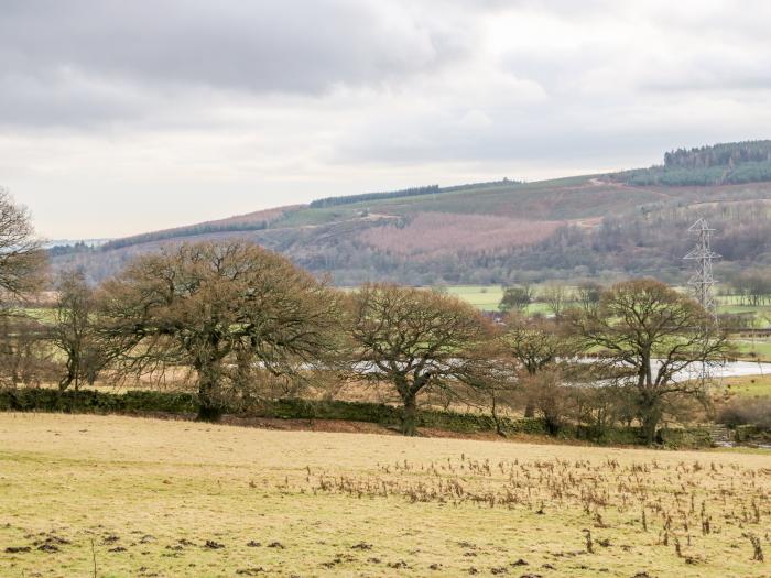 Auckland Cottage, Wolsingham