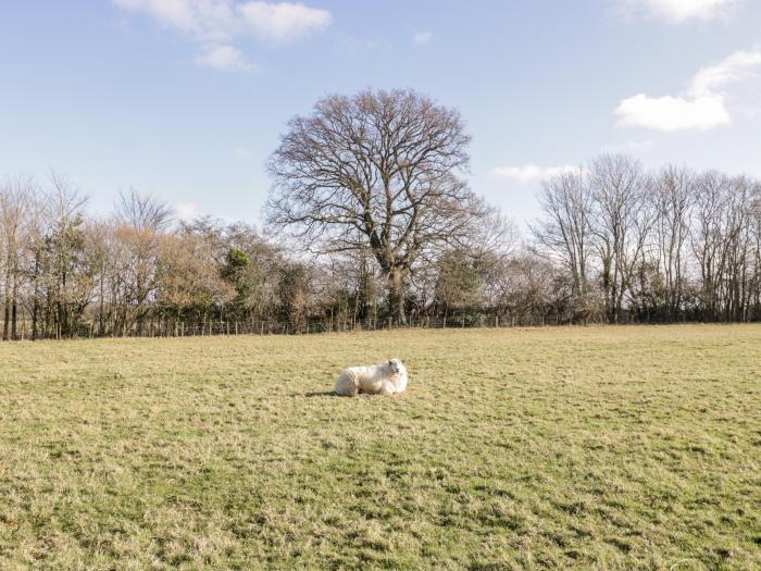 Deer lodge at Chapel Lodges, Wimborne Minster