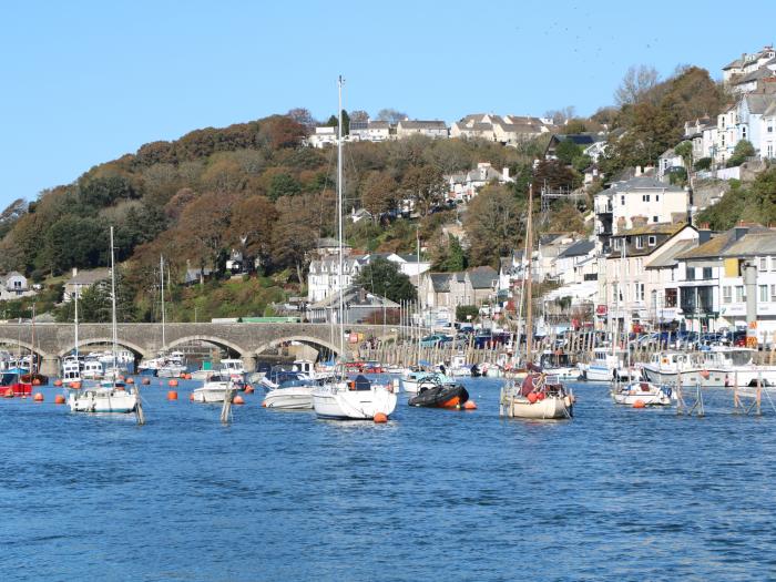 Gull's View, Looe