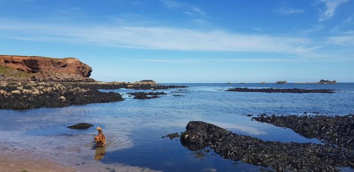 2 St. Ellas Wynd, Eyemouth