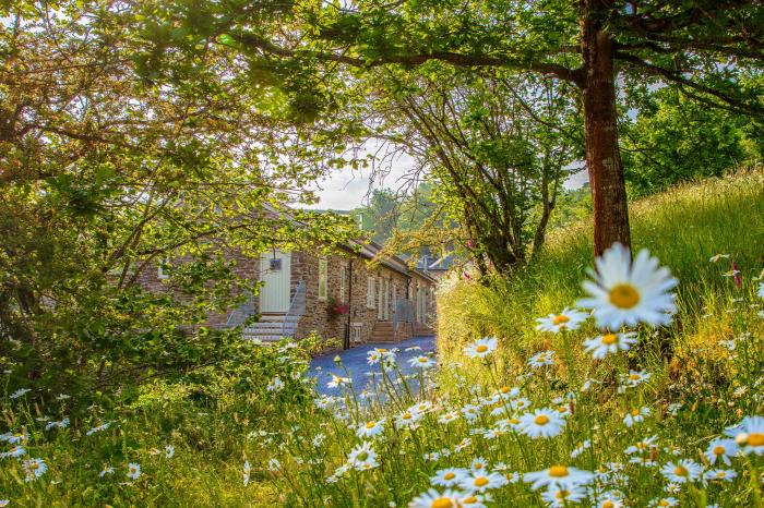 Yennadon Cottage, Cornworthy