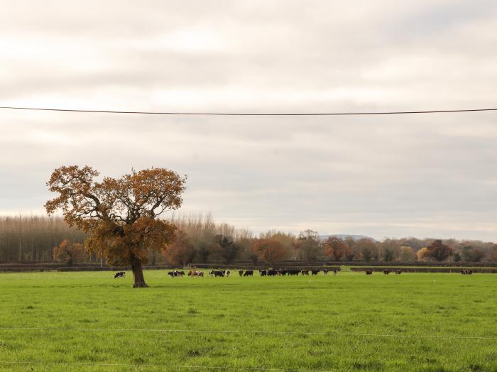 Hickhurst Barn, Tarporley