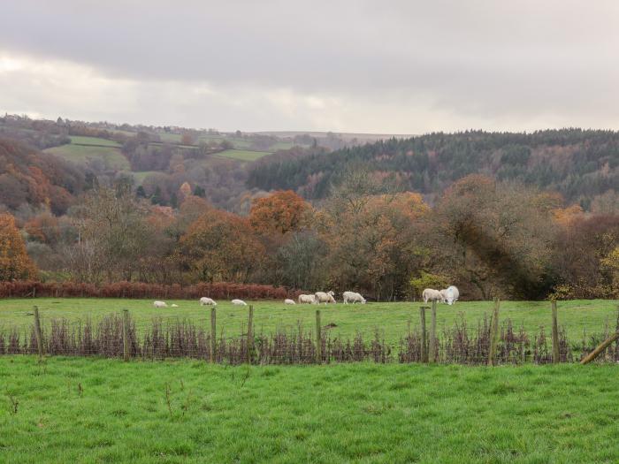 Meadowsweet, Goathland