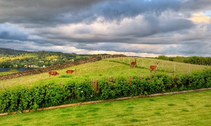 Hawkrigg Farm, Hawkshead, Cumbria