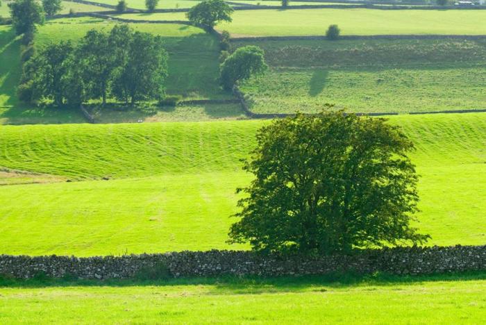 Cherry Tree Cottage At Satterthwaite, Hawkshead, Cumbria