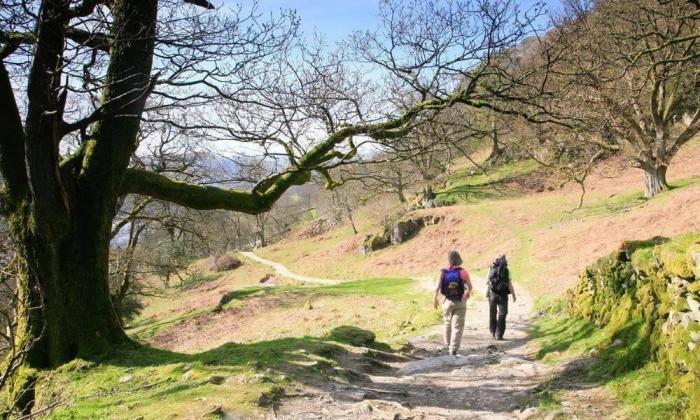 Antrona, Bowness, Cumbria