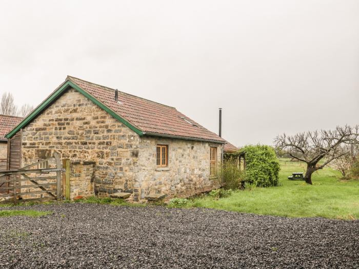 Old Cary Cottage, Langport