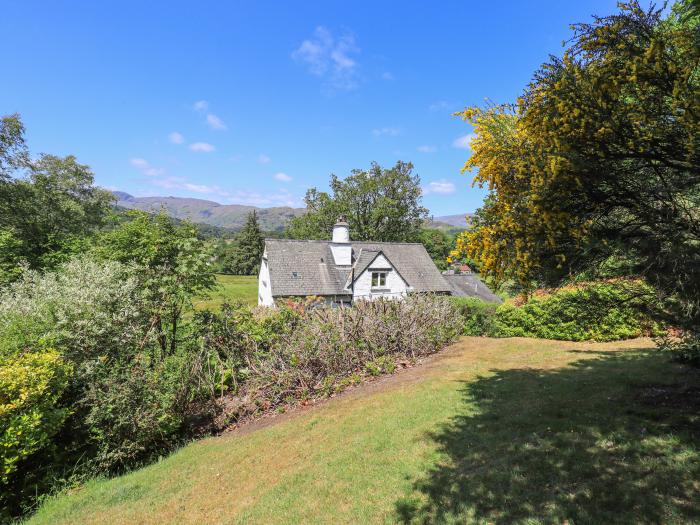 Spindle Coppice, Langdale, Cumbria