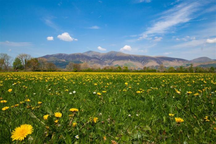 Grisedale Cottage, Braithwaite