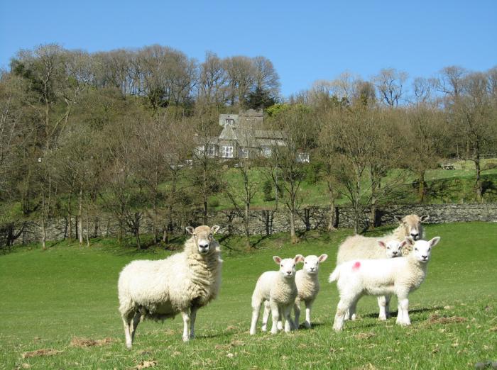 The Rockery Suite, Hawkshead, Cumbria