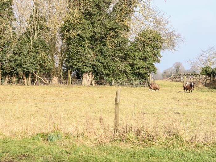 Wensum Spring, Fakenham