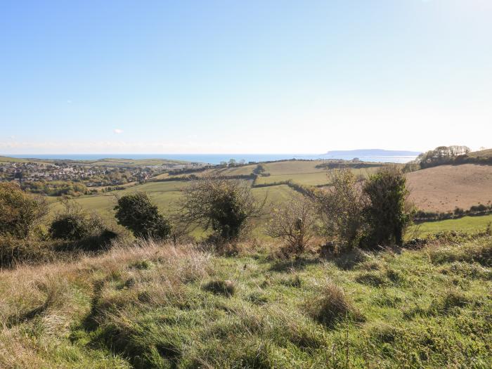 Samphire at Middle Acre, Ringstead