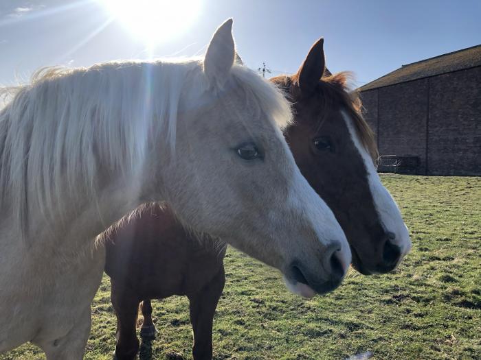 Knightsward Farm, Anstruther